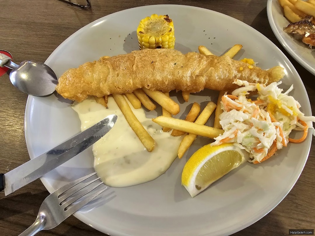 Texas Lone Star - general