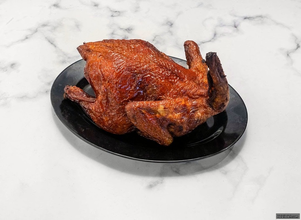 Fitra Chicken Rice - general