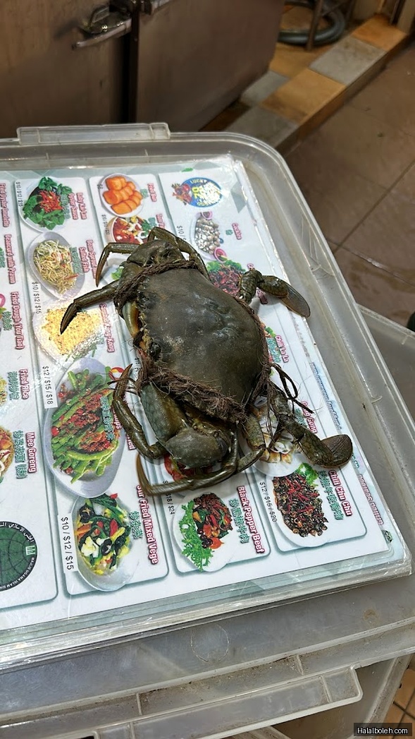 Lucky Newton Seafood at 500 Clemenceau Ave N - General