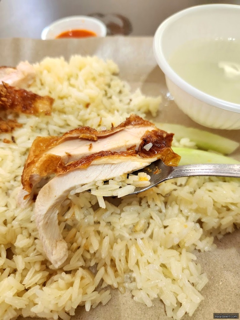 Adam Chicken - general