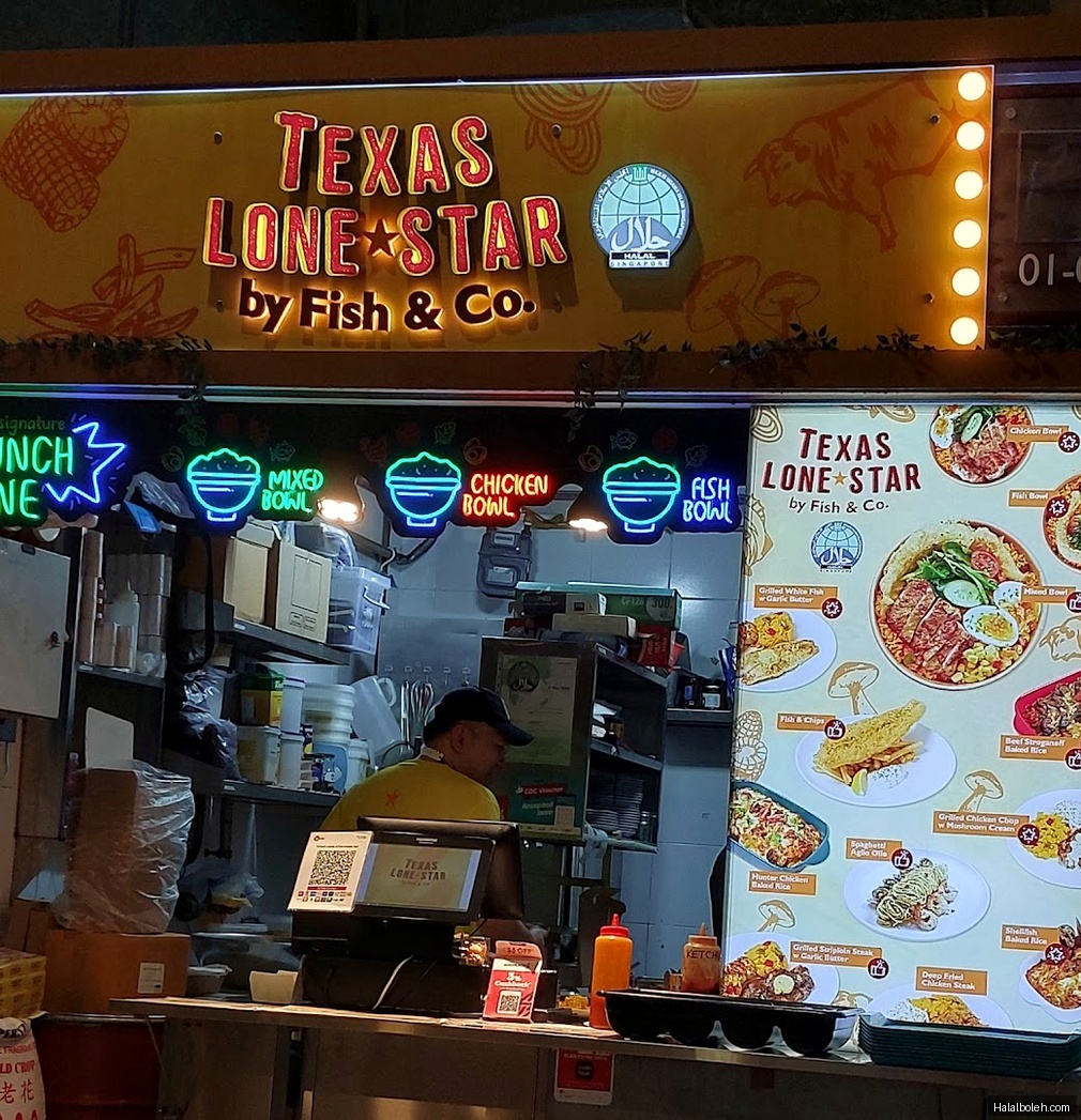 Texas Lone Star - general