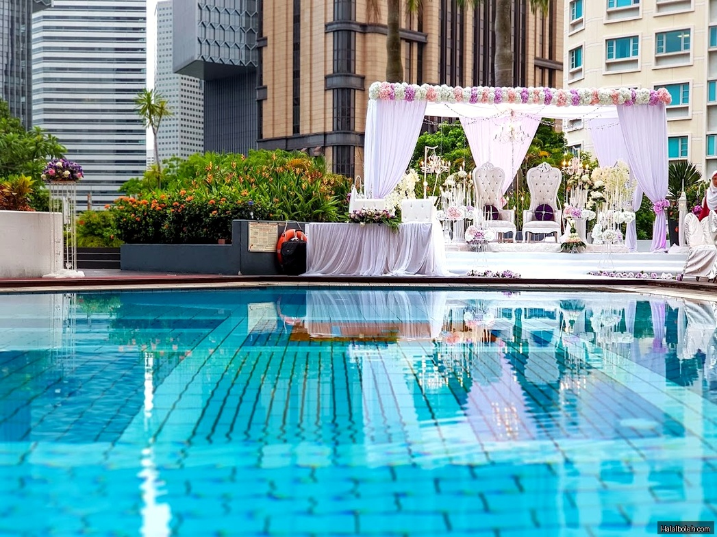 Royal Palm - general