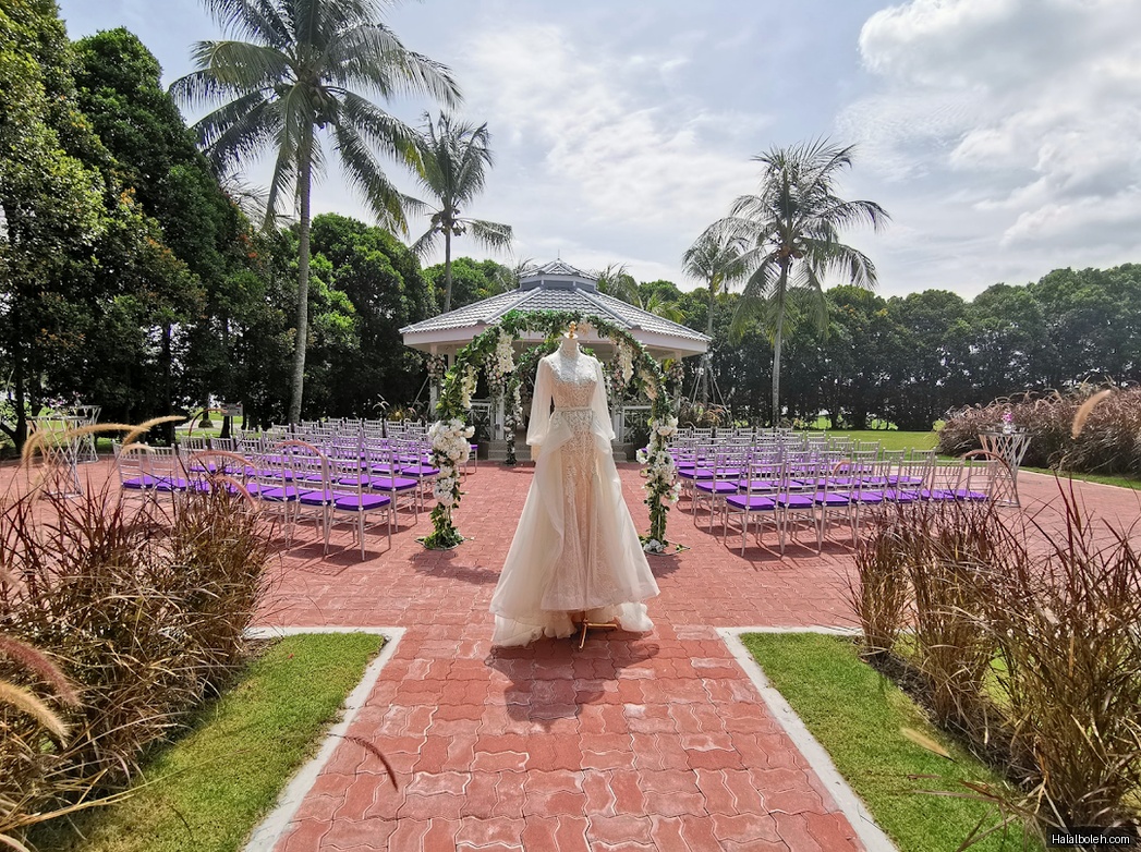 Royal Palm - general