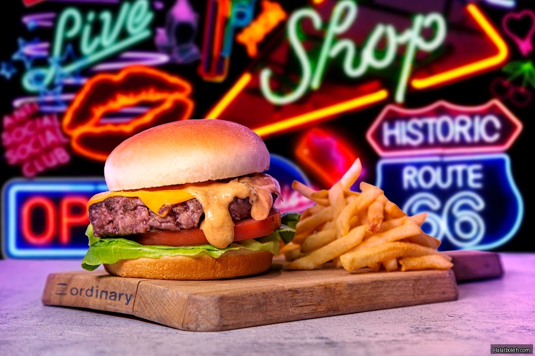 Ordinary Burgers - general