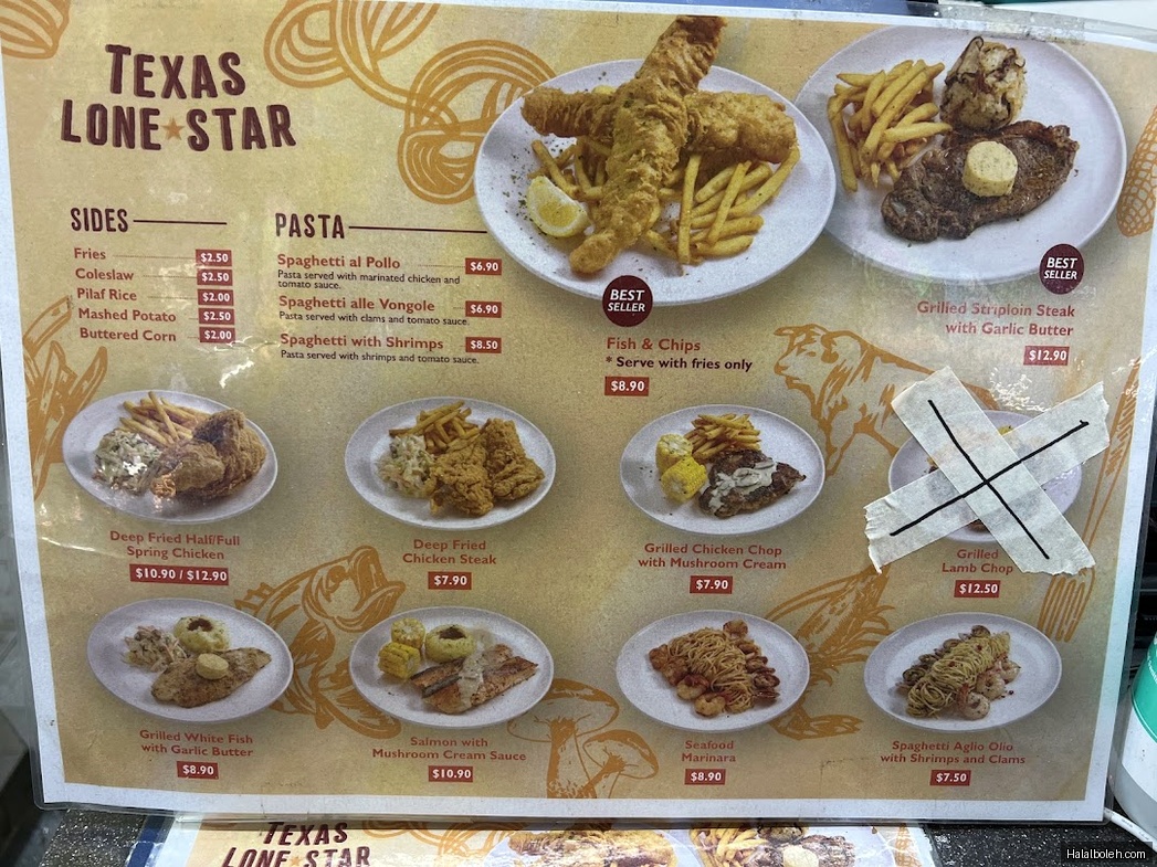 Texas Lone Star - general